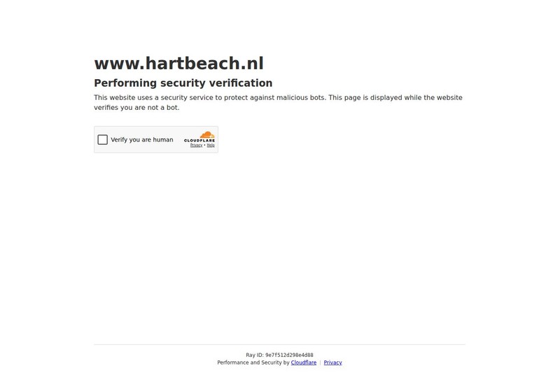 Hart Beach surf shop website homepage